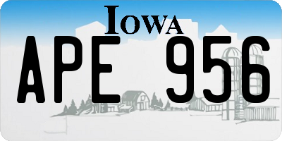 IA license plate APE956