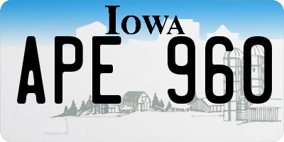 IA license plate APE960