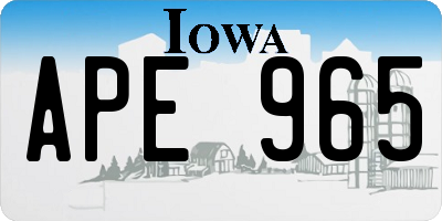IA license plate APE965