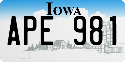 IA license plate APE981