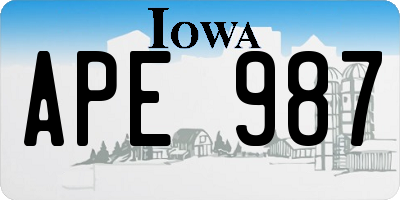 IA license plate APE987