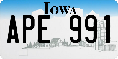 IA license plate APE991