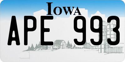 IA license plate APE993