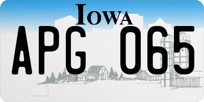 IA license plate APG065