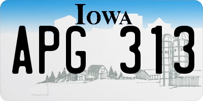 IA license plate APG313