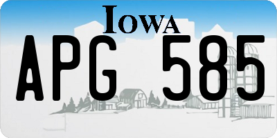 IA license plate APG585