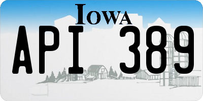 IA license plate API389