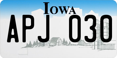 IA license plate APJ030
