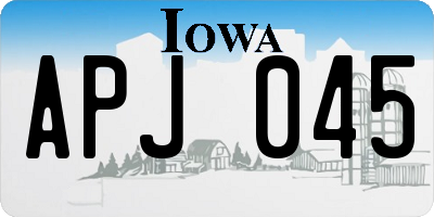 IA license plate APJ045
