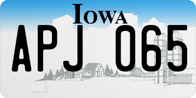 IA license plate APJ065