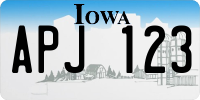 IA license plate APJ123