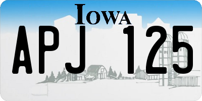 IA license plate APJ125