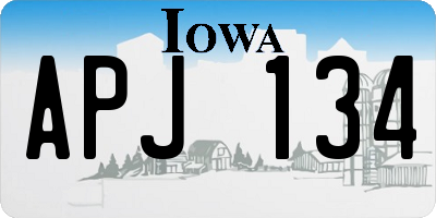 IA license plate APJ134
