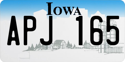 IA license plate APJ165