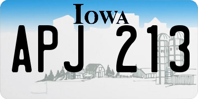 IA license plate APJ213
