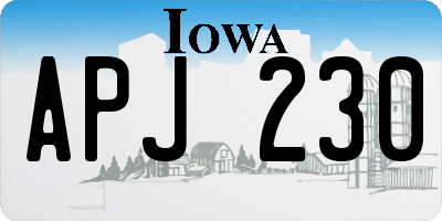 IA license plate APJ230