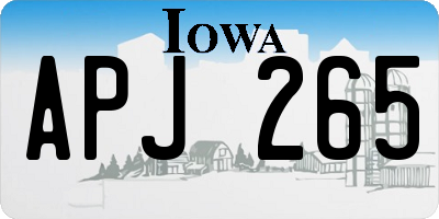 IA license plate APJ265