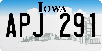 IA license plate APJ291