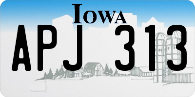 IA license plate APJ313