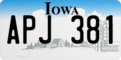 IA license plate APJ381