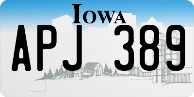IA license plate APJ389