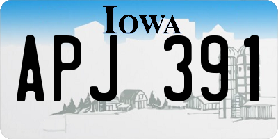 IA license plate APJ391