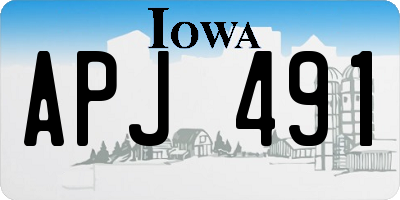 IA license plate APJ491