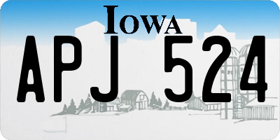 IA license plate APJ524