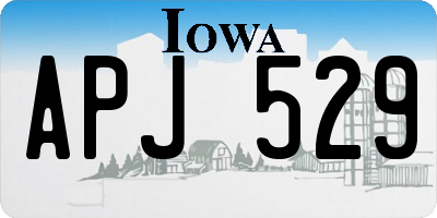IA license plate APJ529