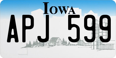 IA license plate APJ599