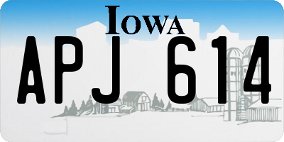 IA license plate APJ614