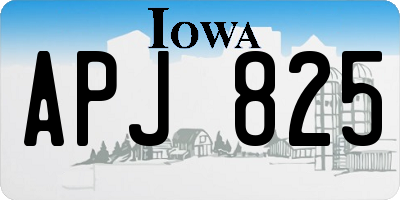 IA license plate APJ825