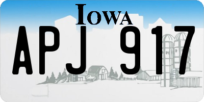 IA license plate APJ917