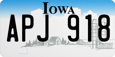 IA license plate APJ918