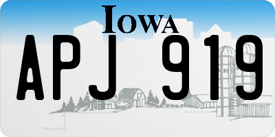 IA license plate APJ919