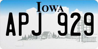 IA license plate APJ929