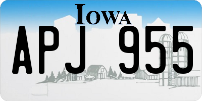IA license plate APJ955