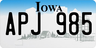 IA license plate APJ985