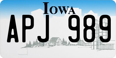 IA license plate APJ989