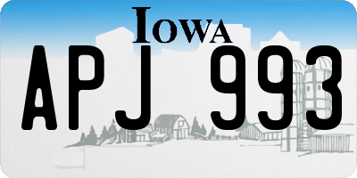 IA license plate APJ993