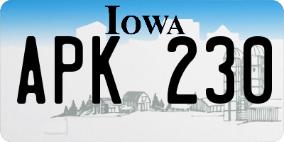 IA license plate APK230