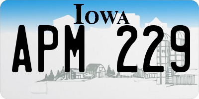 IA license plate APM229