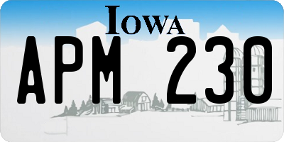 IA license plate APM230