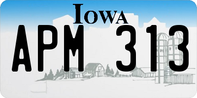 IA license plate APM313