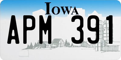 IA license plate APM391