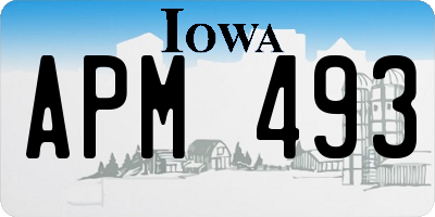 IA license plate APM493