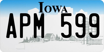 IA license plate APM599