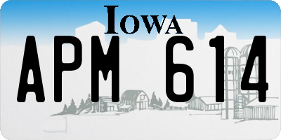 IA license plate APM614