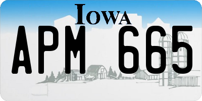 IA license plate APM665
