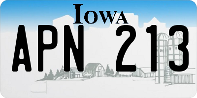 IA license plate APN213